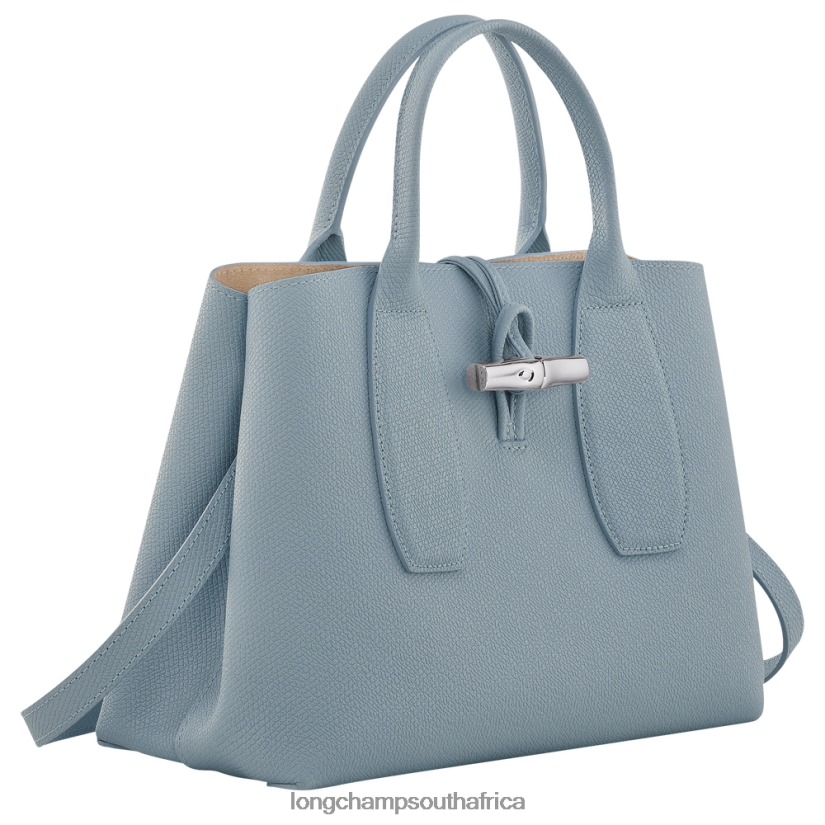 Roseau Handbag Cloud Blue Bags Longchamp Women 6D0H6J107