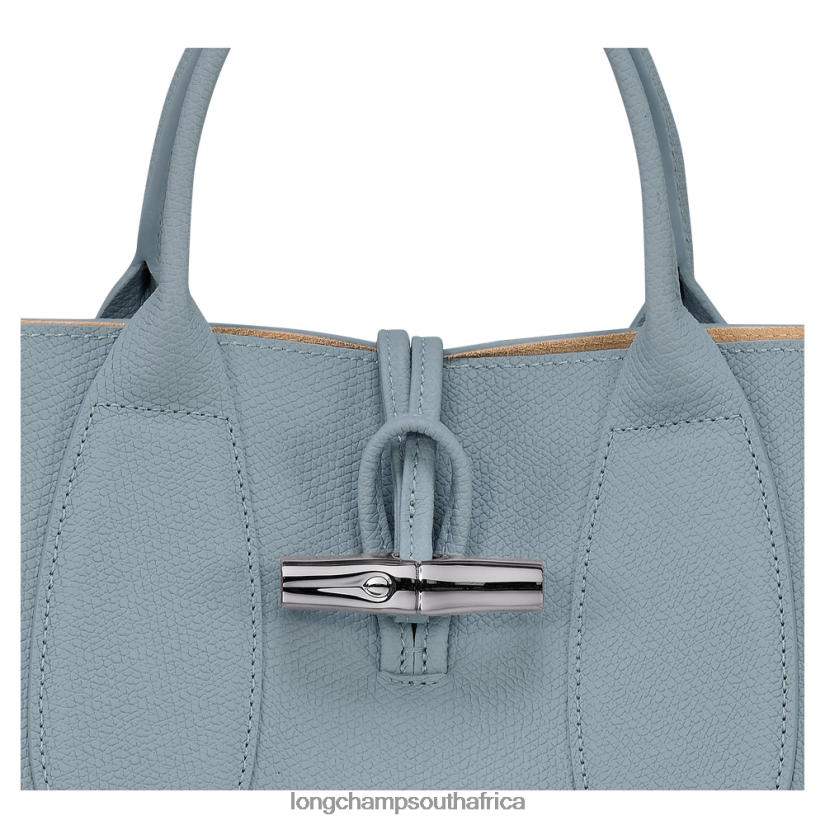 Roseau Handbag Cloud Blue Bags Longchamp Women 6D0H6J107
