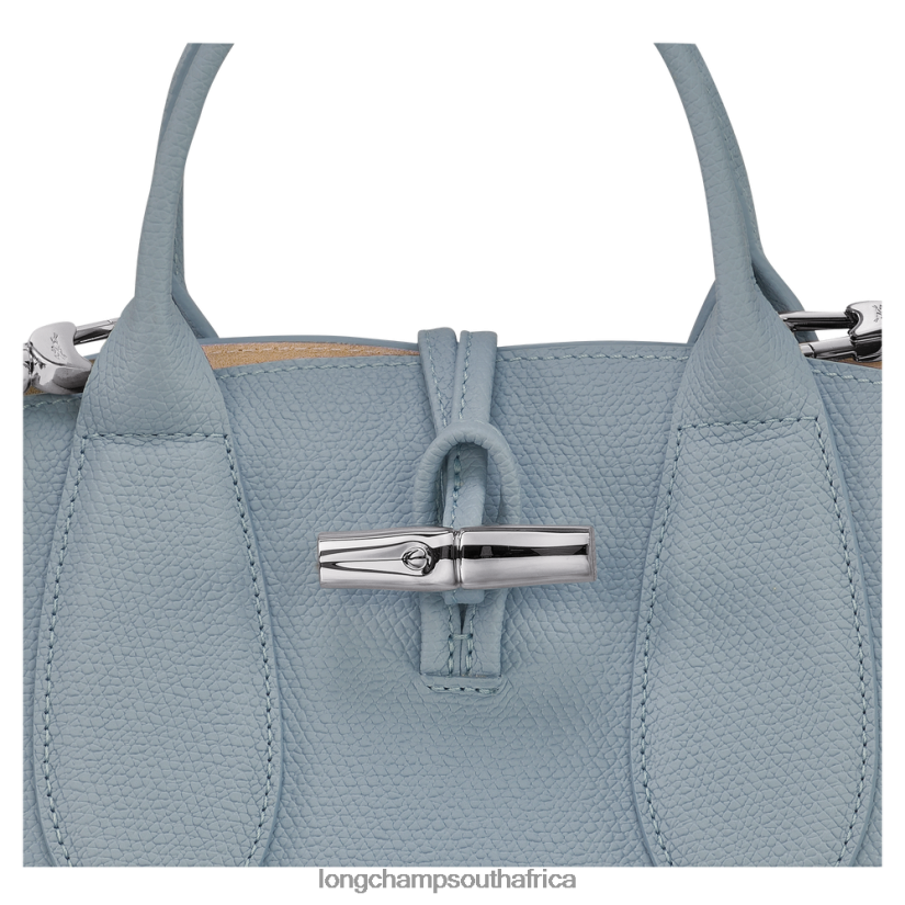 Roseau Handbag Cloud Blue Bags Longchamp Women 6D0H6J115