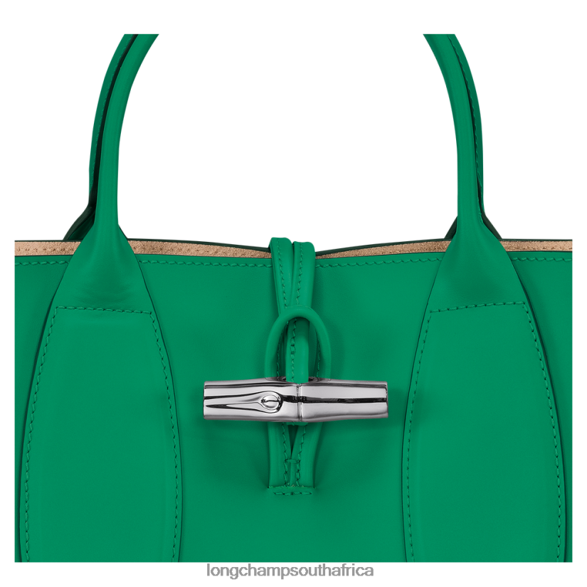 Roseau Handbag Grass/Green Light Bags Longchamp Women 6D0H6J98