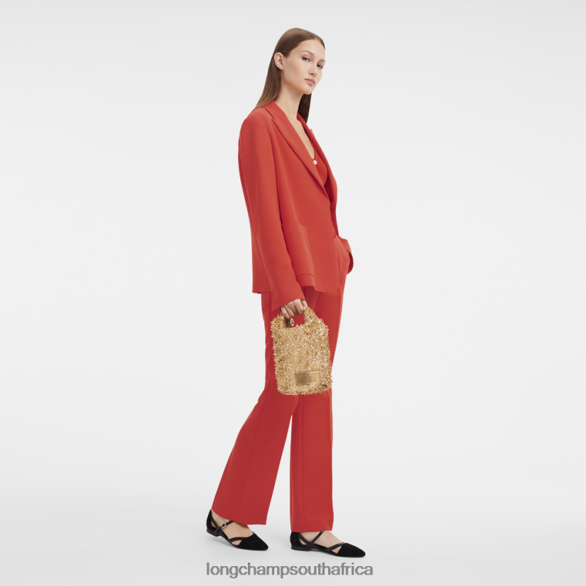 Le Pliage Collection Pouch Gold Leather Goods Longchamp Women 6D0H6J221